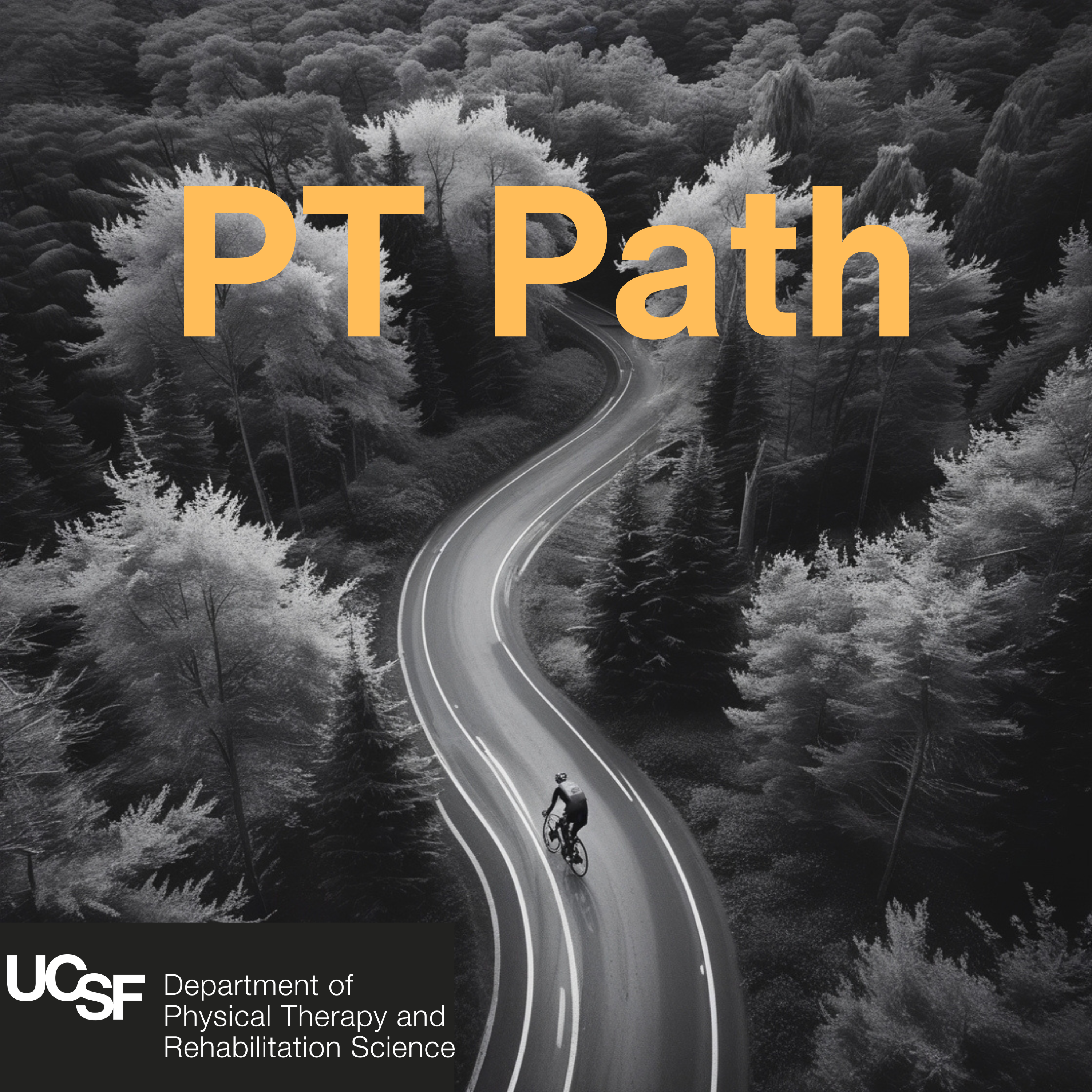 PT Path